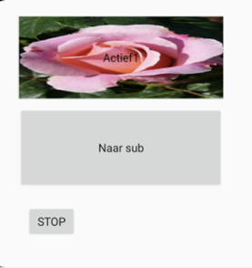 1644495265242.png