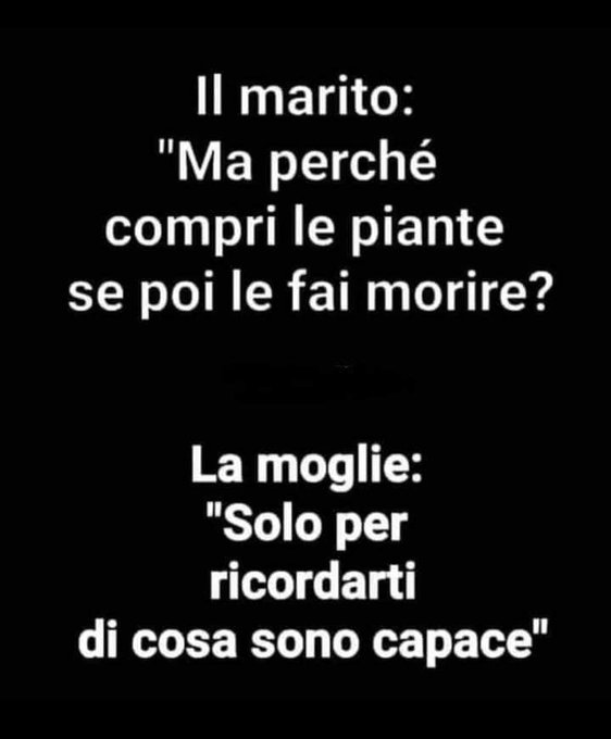 1709729410402.jpeg