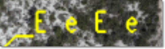 1738665327241.png