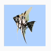 1759123457961.png