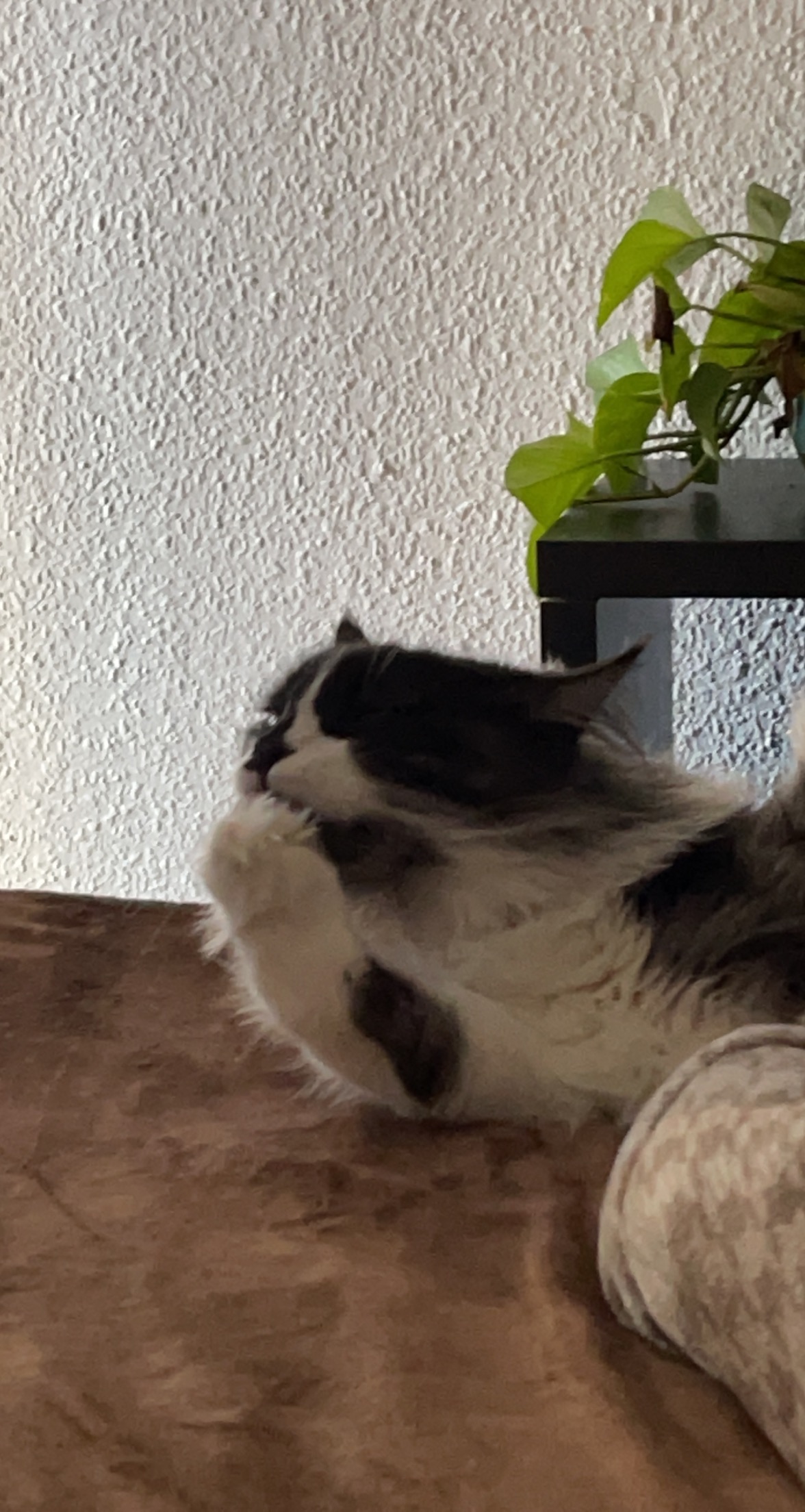 2021-03-31 10.41.53.jpg