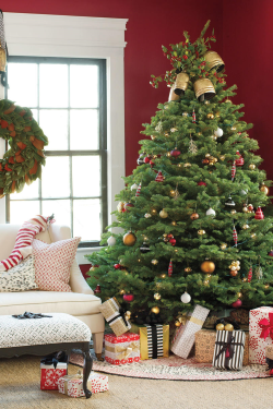 Christmas Tree.png
