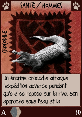 crocodile.png