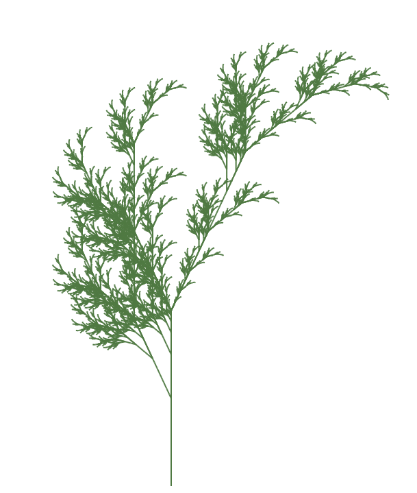 fern.png