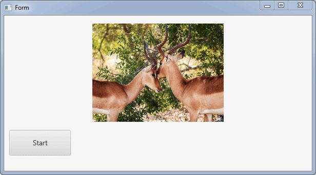 java_9ajLNs4bxh.gif