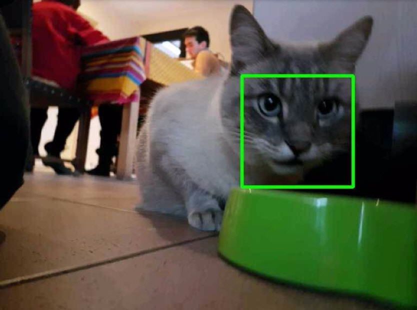 MyCat.jpg