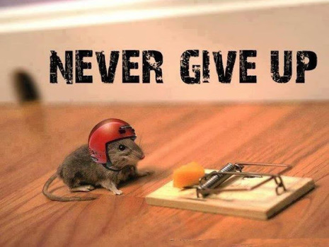 nevergiveup.jpg