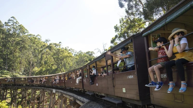 Puffing Billy Hanging Out.jpg