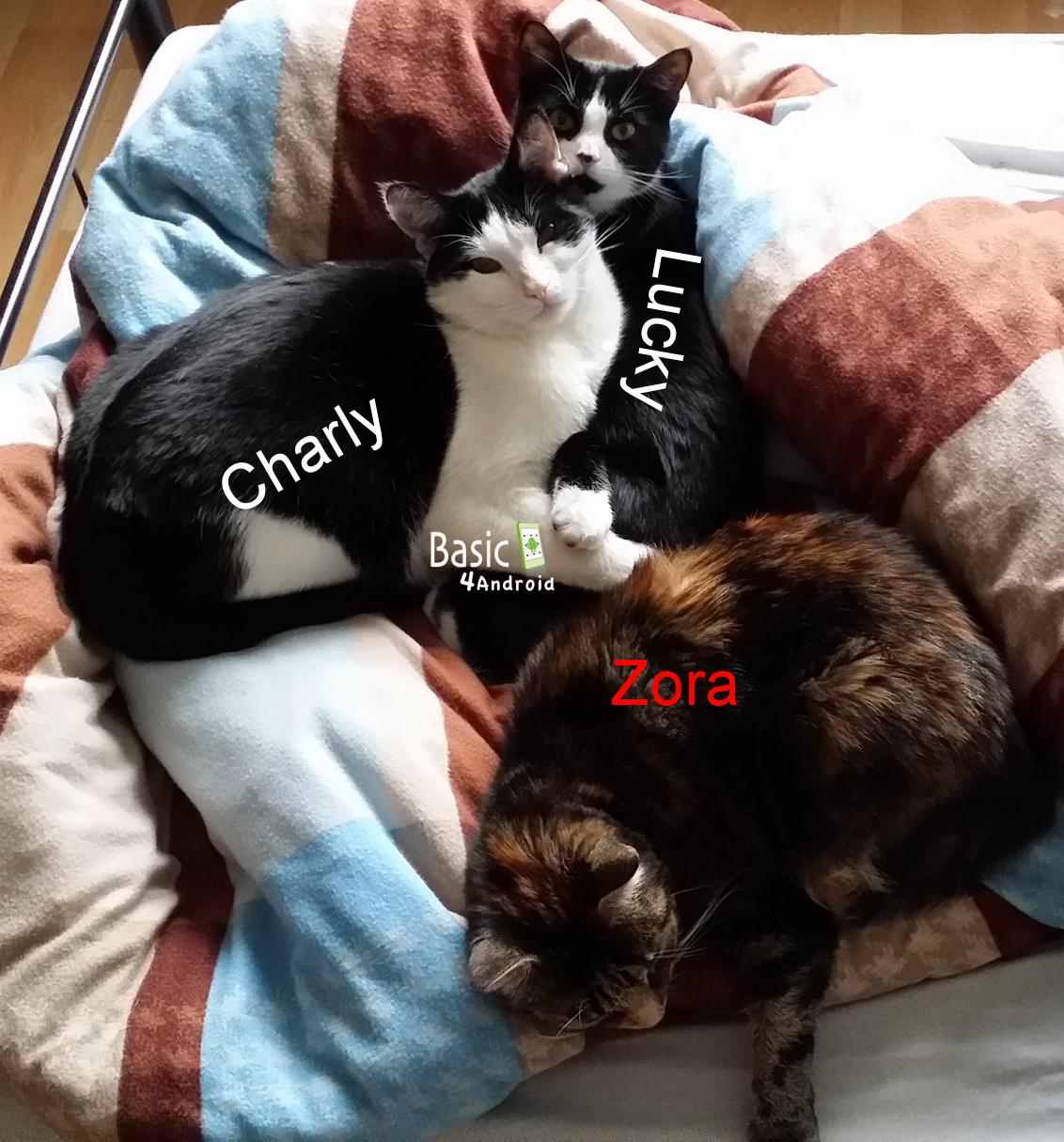 result.jpg