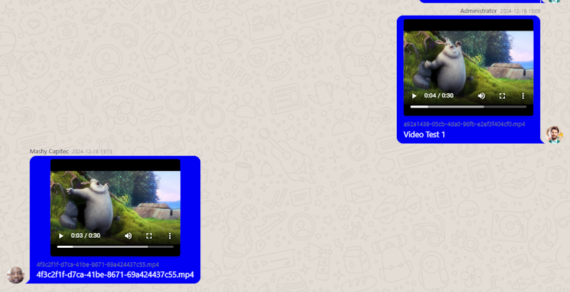 SendReceiveVideos.png