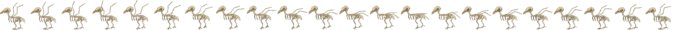 skeletonbird.png