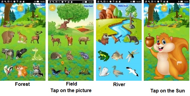 Forest, Field and River Android Animals for children | B4X Programming Forum