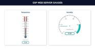 gauge_2.jpg