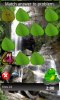 device-2012-06-13-144349small.jpg