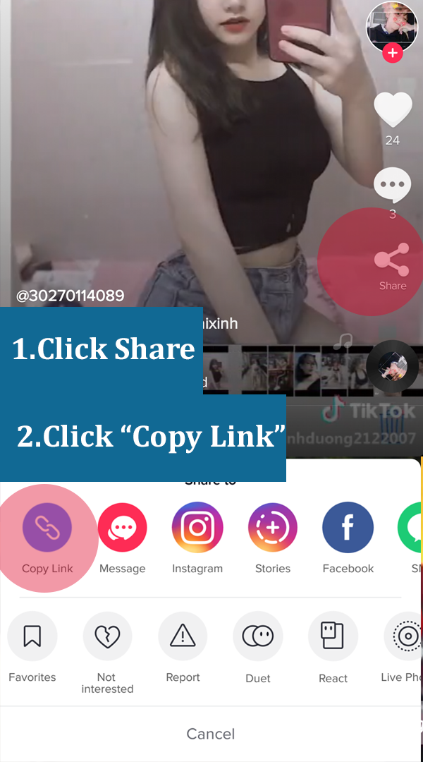 Free TikTok Downloader without Watermark – Download Video TikTok